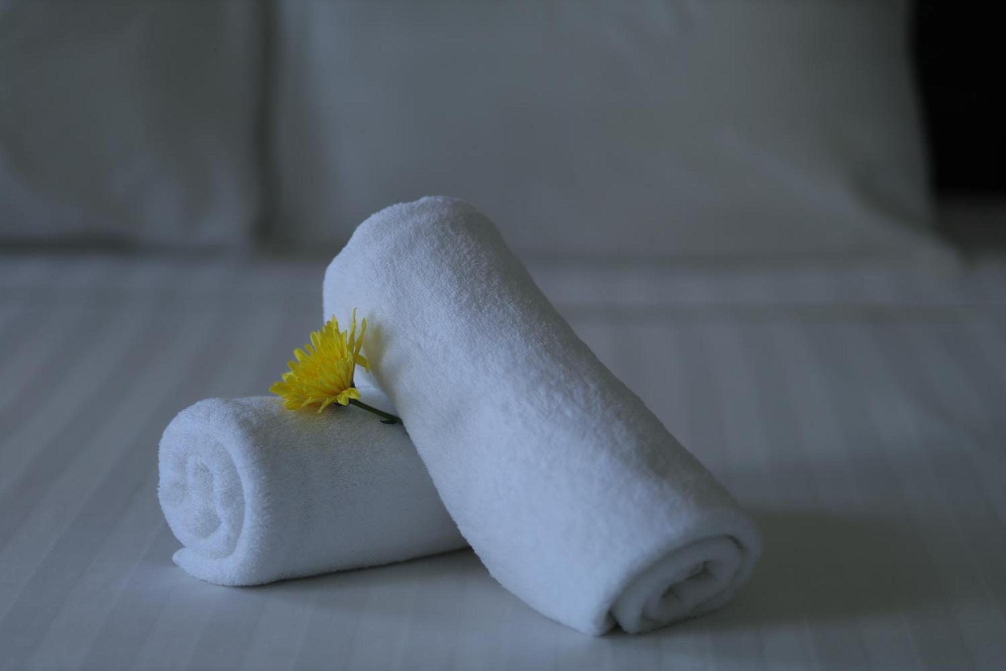 Blue River Boutique Hoi An Hotel エクステリア 写真